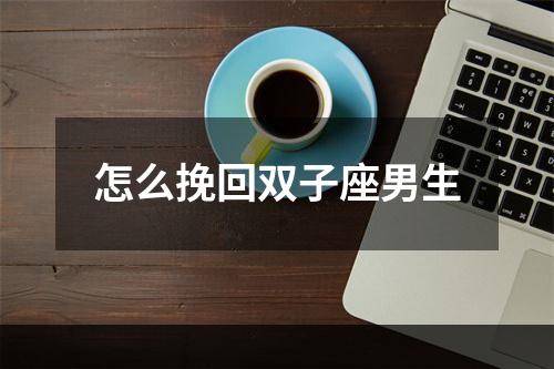 怎么挽回双子座男生