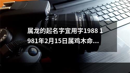 属龙的起名字宜用字1988 1981年2月15日属鸡木命人起名应该怎样起?