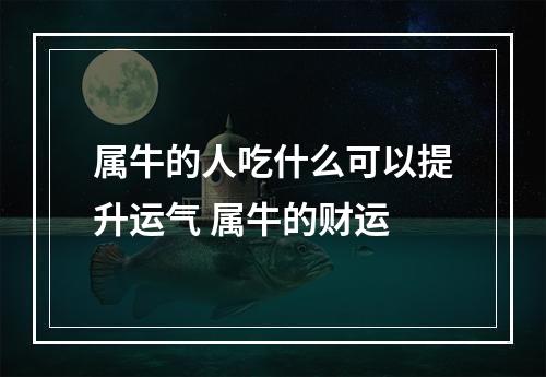 属牛的人吃什么可以提升运气 属牛的财运