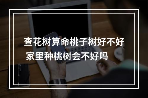 查花树算命桃子树好不好 家里种桃树会不好吗