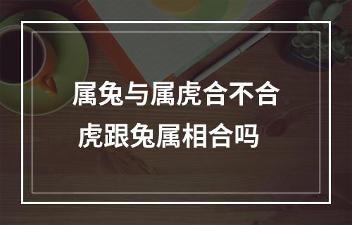 属兔与属虎合不合 虎跟兔属相合吗