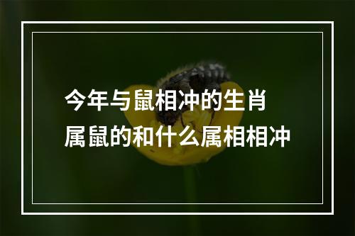 今年与鼠相冲的生肖 属鼠的和什么属相相冲