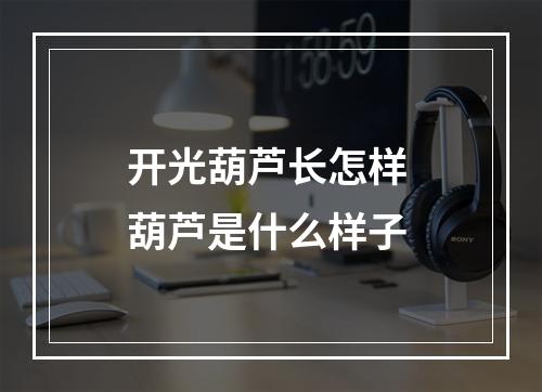 开光葫芦长怎样 葫芦是什么样子