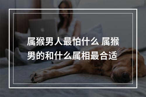 属猴男人最怕什么 属猴男的和什么属相最合适
