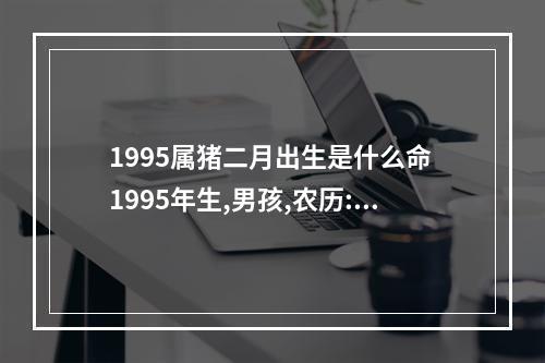 1995属猪二月出生是什么命 1995年生,男孩,农历:二月初一上午卯时出生的属猪人命运怎样?