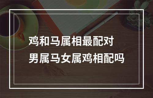鸡和马属相最配对 男属马女属鸡相配吗