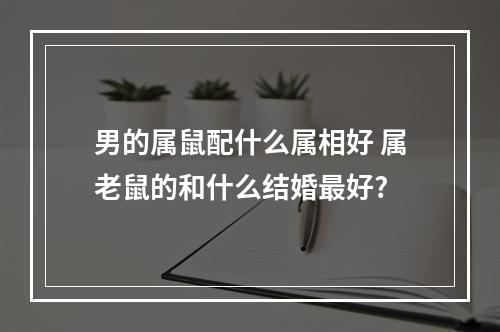 男的属鼠配什么属相好 属老鼠的和什么结婚最好?