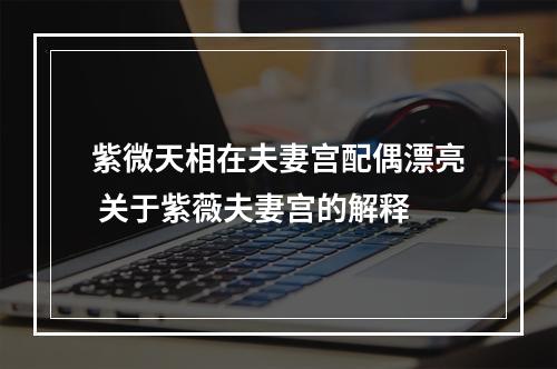 紫微天相在夫妻宫配偶漂亮 关于紫薇夫妻宫的解释
