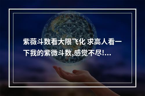 紫薇斗数看大限飞化 求高人看一下我的紫微斗数,感觉不尽!!
