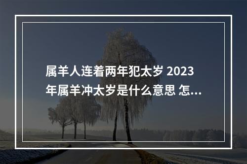 属羊人连着两年犯太岁 2023年属羊冲太岁是什么意思 怎么破解?