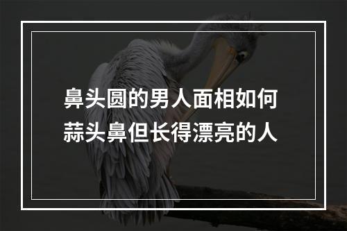 鼻头圆的男人面相如何 蒜头鼻但长得漂亮的人
