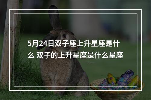 5月24日双子座上升星座是什么 双子的上升星座是什么星座