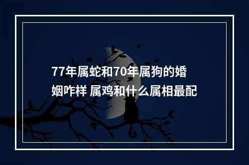 77年属蛇和70年属狗的婚姻咋样 属鸡和什么属相最配