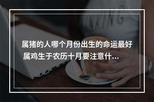 属猪的人哪个月份出生的命运最好 属鸡生于农历十月要注意什么