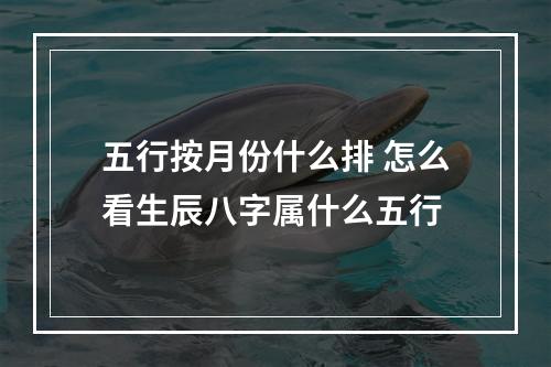 五行按月份什么排 怎么看生辰八字属什么五行
