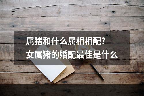 属猪和什么属相相配? 女属猪的婚配最佳是什么