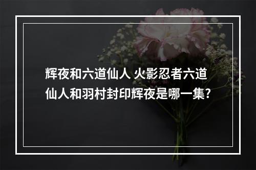 辉夜和六道仙人 火影忍者六道仙人和羽村封印辉夜是哪一集?
