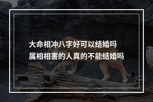 大命相冲八字好可以结婚吗 属相相害的人真的不能结婚吗