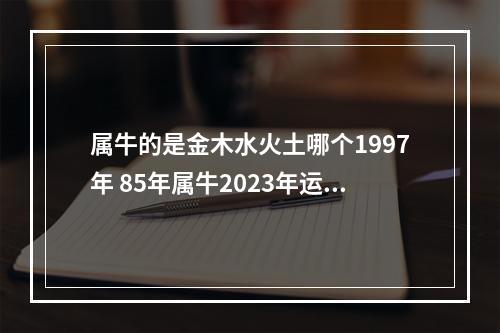 属牛的是金木水火土哪个1997年 85年属牛2023年运势