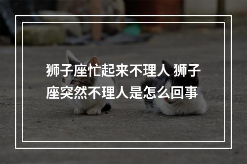 狮子座忙起来不理人 狮子座突然不理人是怎么回事