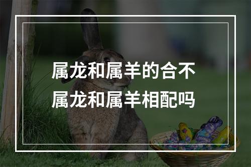 属龙和属羊的合不 属龙和属羊相配吗