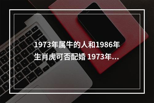 1973年属牛的人和1986年生肖虎可否配婚 1973年属牛婚配最好的是什么