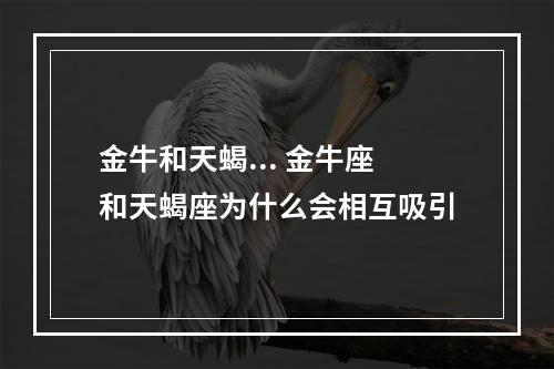 金牛和天蝎... 金牛座和天蝎座为什么会相互吸引