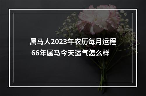 属马人2023年农历每月运程 66年属马今天运气怎么样