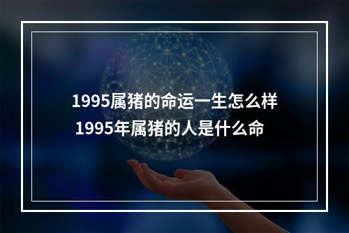 1995属猪的命运一生怎么样 1995年属猪的人是什么命