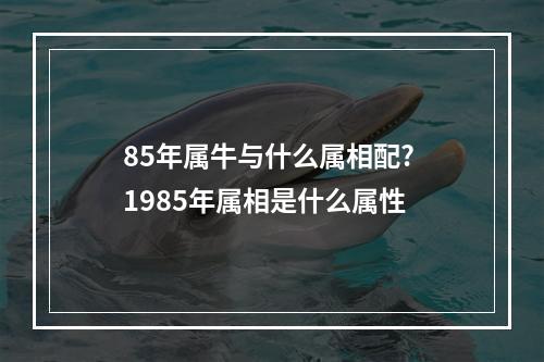 85年属牛与什么属相配? 1985年属相是什么属性