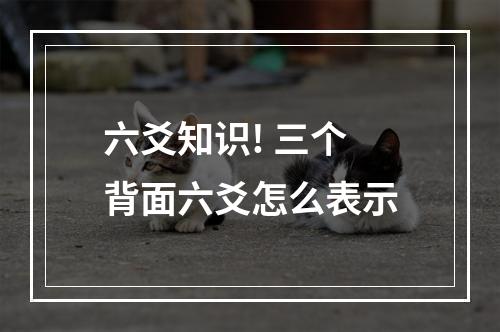 六爻知识! 三个背面六爻怎么表示