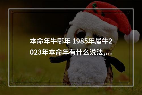 本命年牛哪年 1985年属牛2023年本命年有什么说法,犯太岁佩戴什么化解?