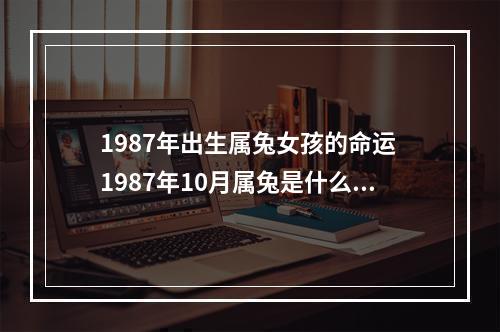 1987年出生属兔女孩的命运 1987年10月属兔是什么命女