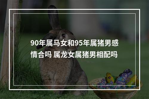 90年属马女和95年属猪男感情合吗 属龙女属猪男相配吗