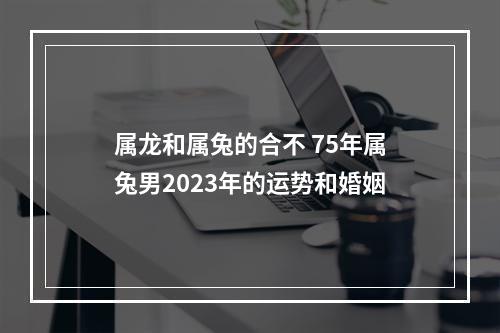 属龙和属兔的合不 75年属兔男2023年的运势和婚姻