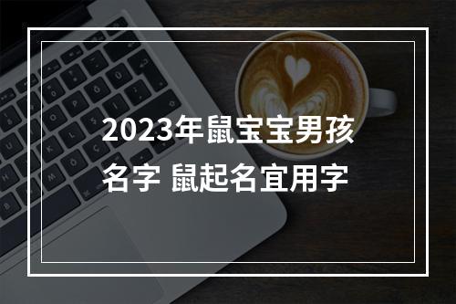 2023年鼠宝宝男孩名字 鼠起名宜用字