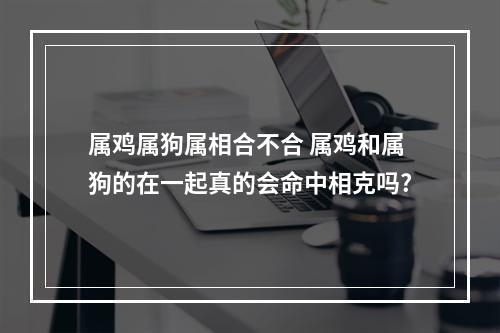 属鸡属狗属相合不合 属鸡和属狗的在一起真的会命中相克吗?