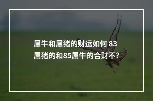 属牛和属猪的财运如何 83属猪的和85属牛的合财不?