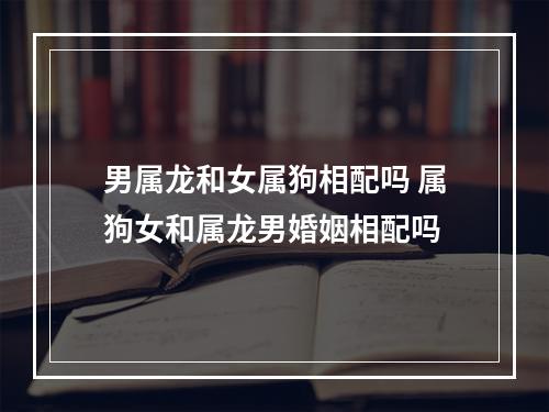 男属龙和女属狗相配吗 属狗女和属龙男婚姻相配吗
