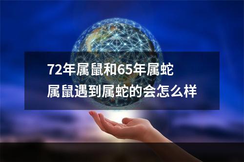 72年属鼠和65年属蛇 属鼠遇到属蛇的会怎么样