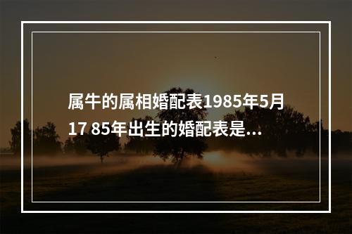 属牛的属相婚配表1985年5月17 85年出生的婚配表是什么
