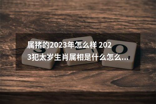 属猪的2023年怎么样 2023犯太岁生肖属相是什么怎么躲太岁