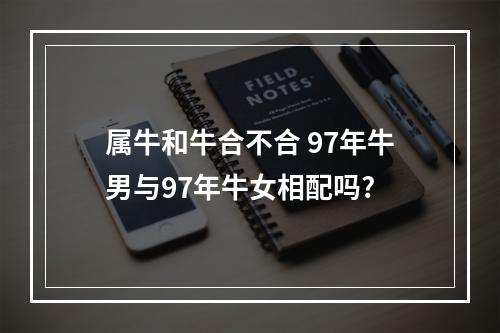 属牛和牛合不合 97年牛男与97年牛女相配吗?