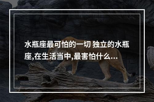 水瓶座最可怕的一切 独立的水瓶座,在生活当中,最害怕什么事情?