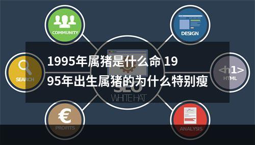 1995年属猪是什么命 1995年出生属猪的为什么特别瘦