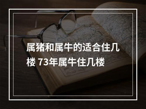 属猪和属牛的适合住几楼 73年属牛住几楼