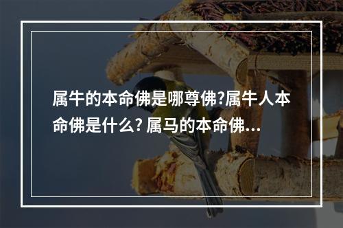 属牛的本命佛是哪尊佛?属牛人本命佛是什么? 属马的本命佛石头记