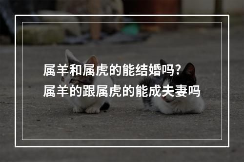 属羊和属虎的能结婚吗? 属羊的跟属虎的能成夫妻吗