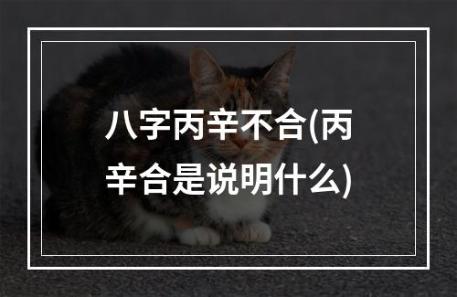 八字丙辛不合(丙辛合是说明什么)