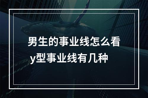 男生的事业线怎么看 y型事业线有几种